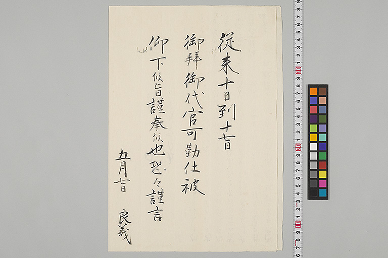 中精細画像