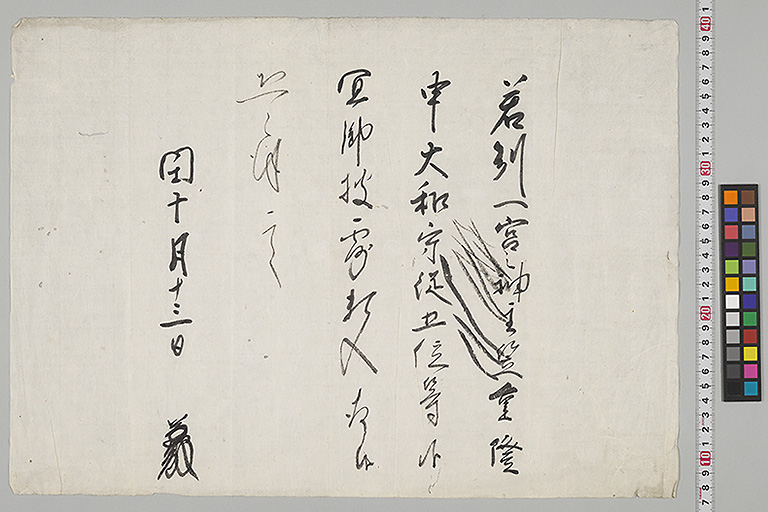 中精細画像